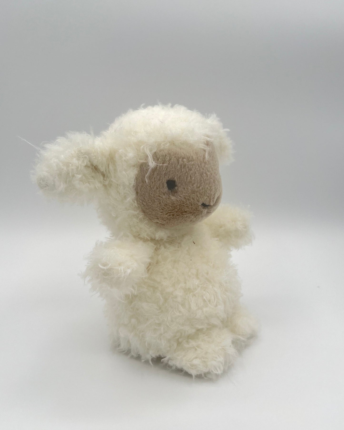 Little Lamb