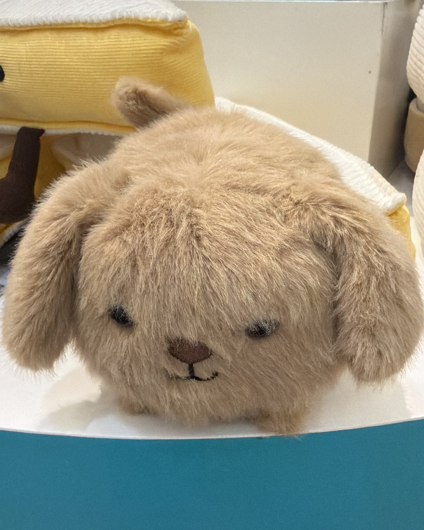 Caboodle Puppy