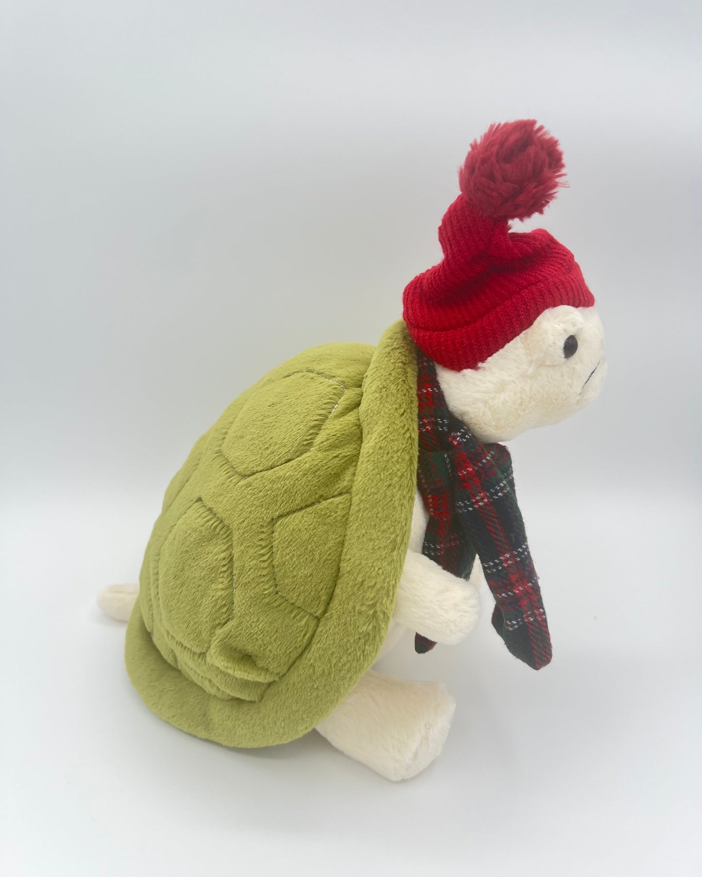Snowman Timmy Turtle