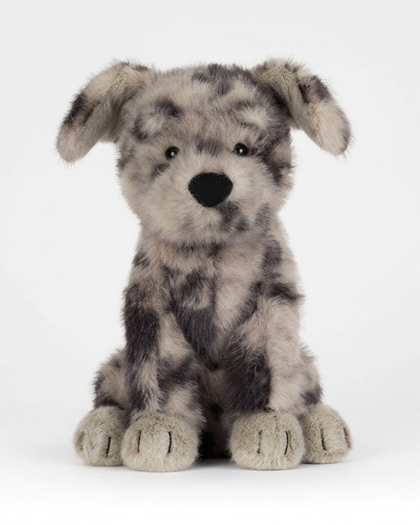 Fluff Rescue Dog