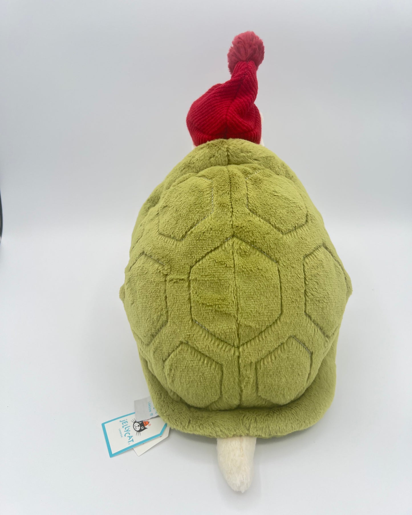 Snowman Timmy Turtle