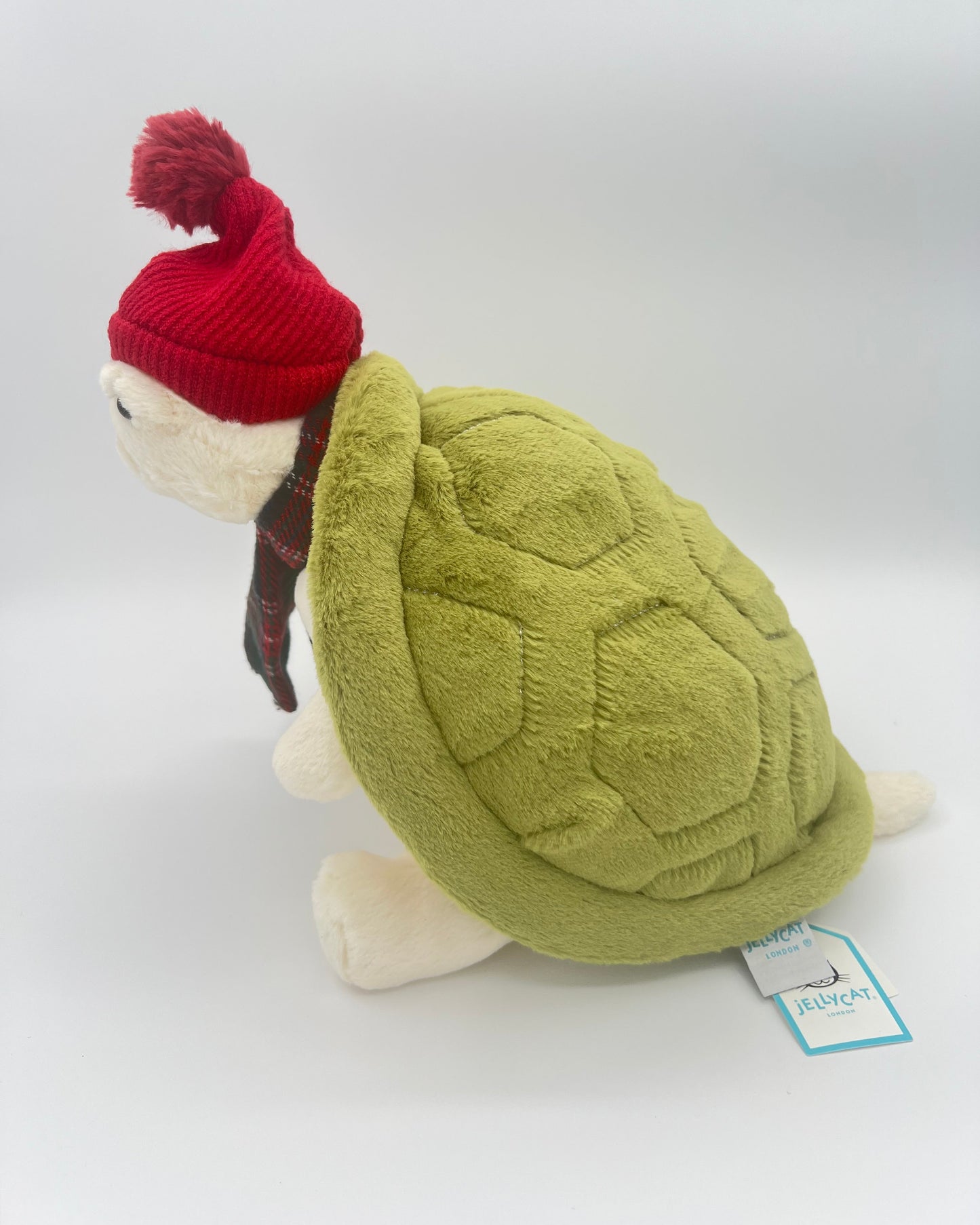 Snowman Timmy Turtle
