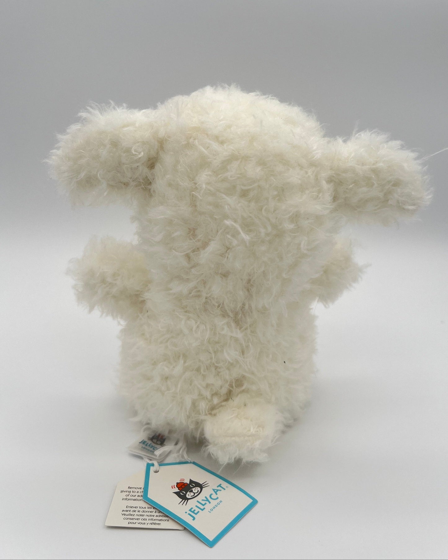 Little Lamb