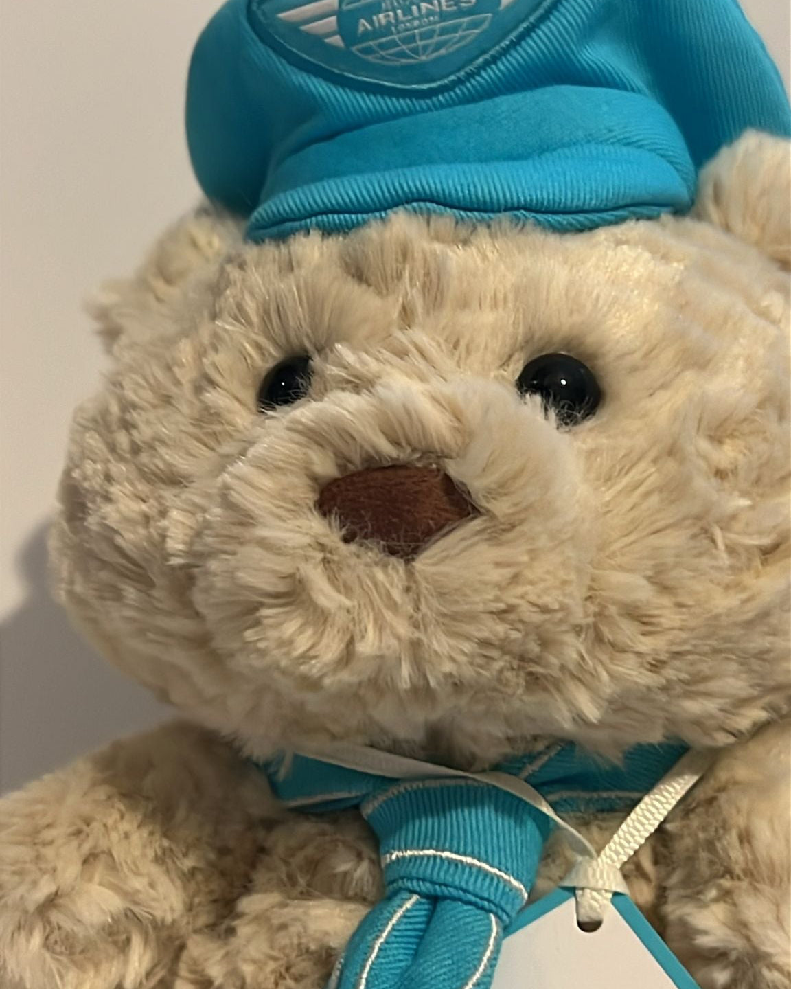 Bartholomew Bear Junior Pilot