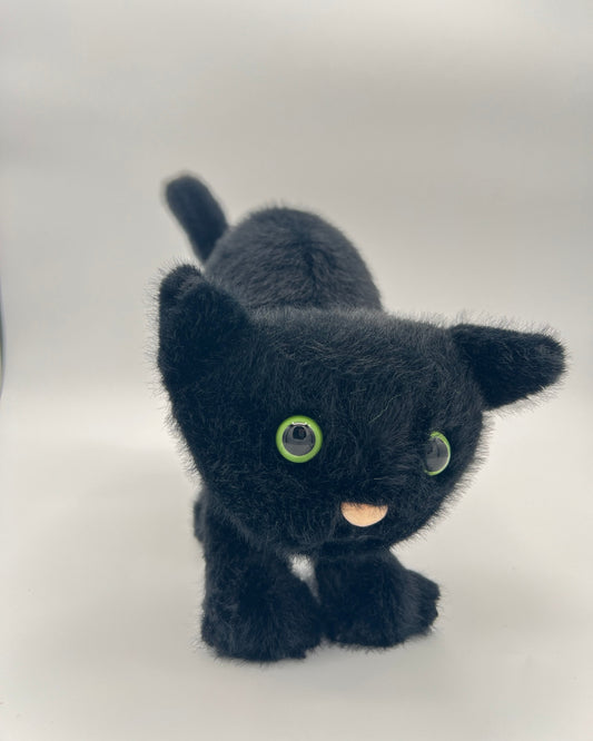 Spookipaws Cat