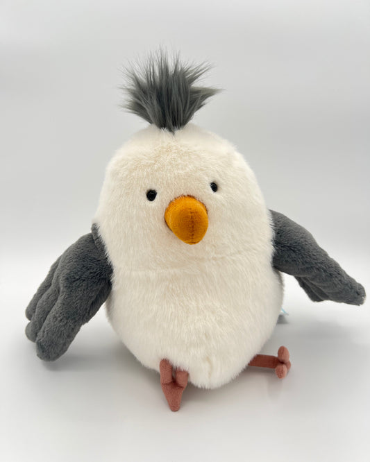 Chip Seagull