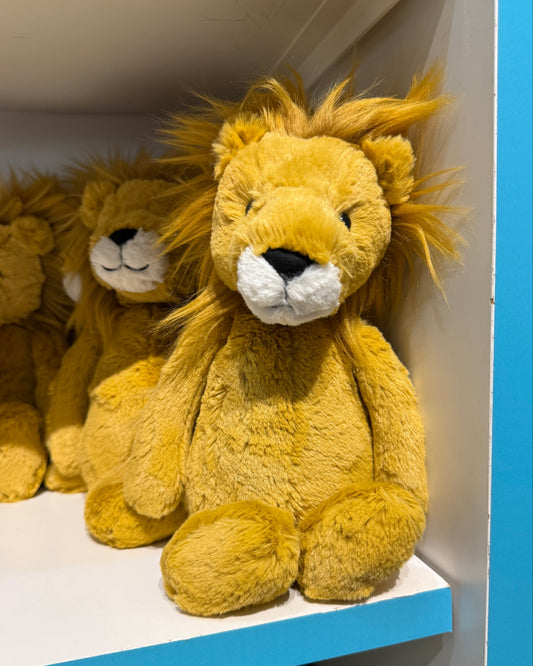 Bashful Lion