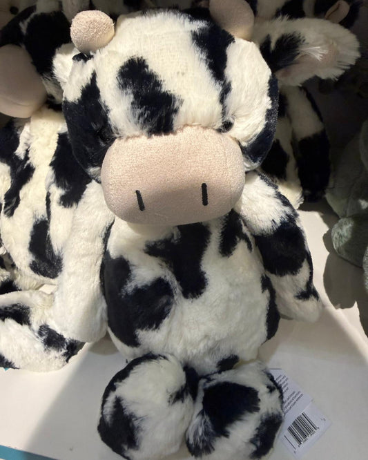 Bashful Calf