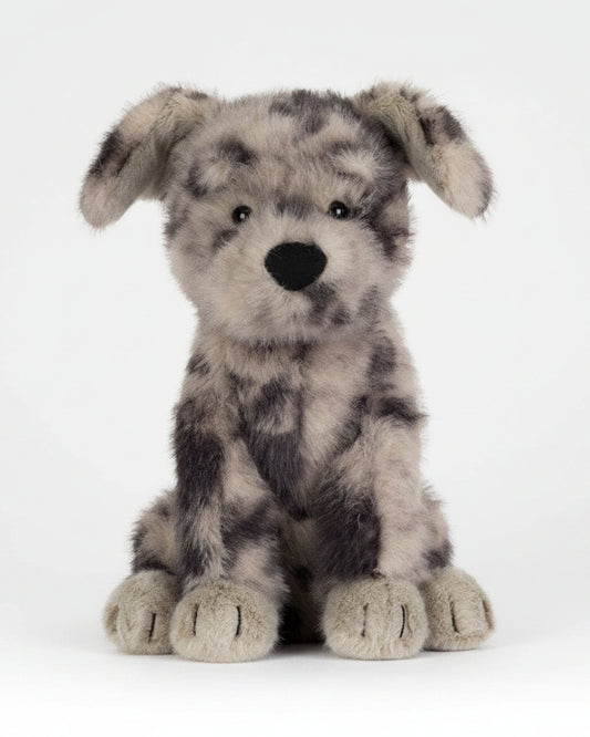 Fluff Rescue Dog