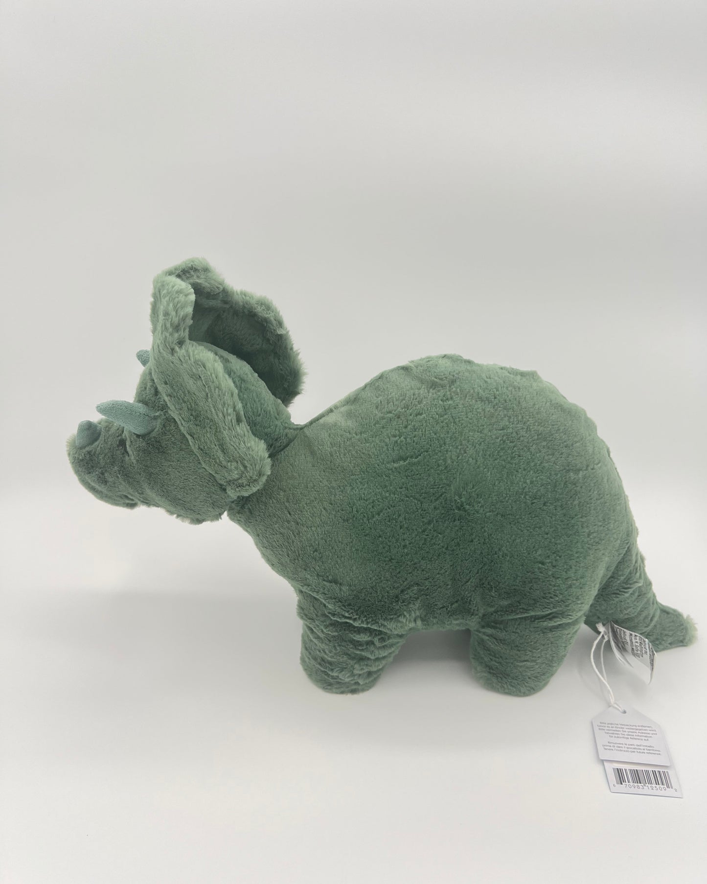 Fossilly Triceratops Medium
