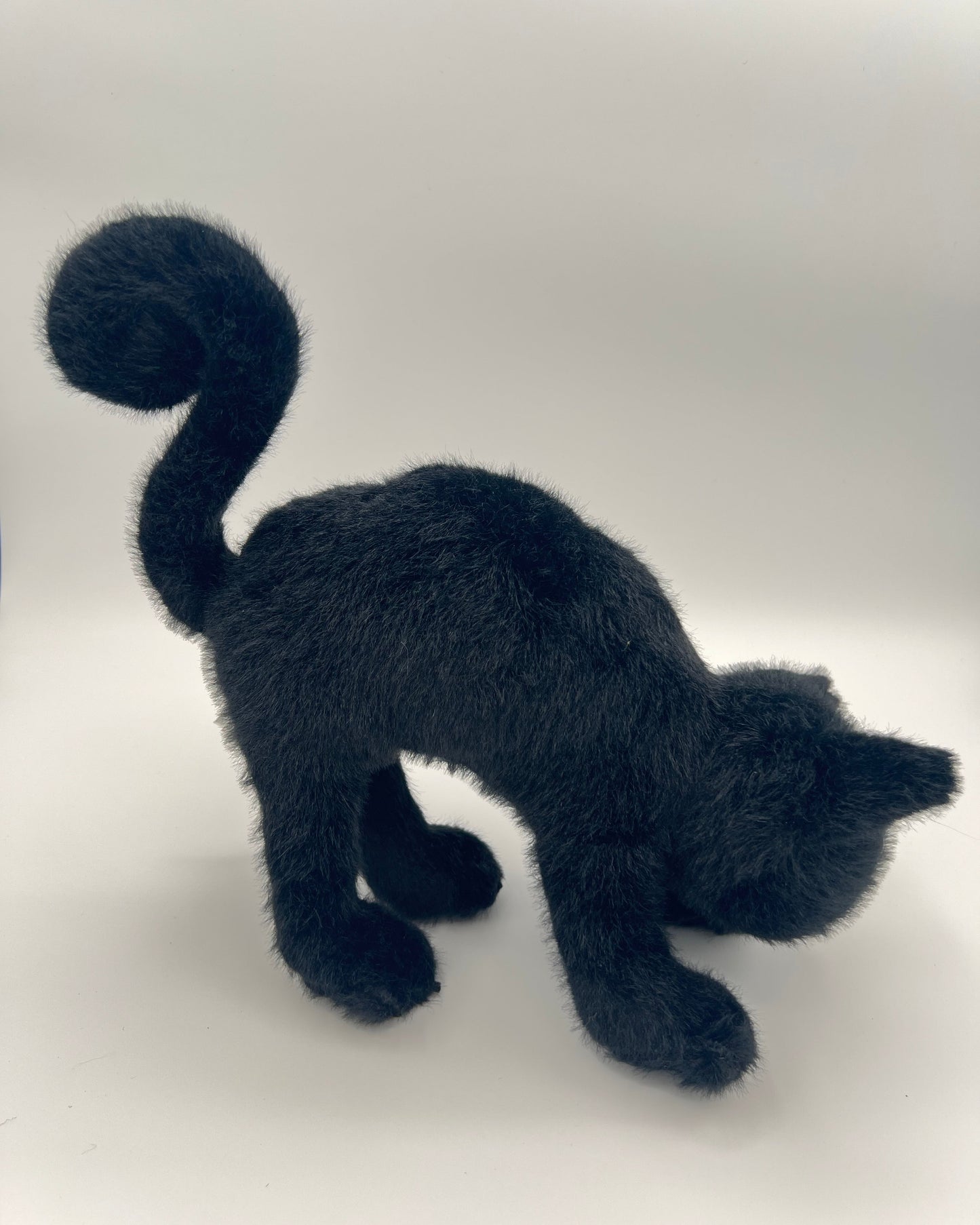 Spookipaws Cat