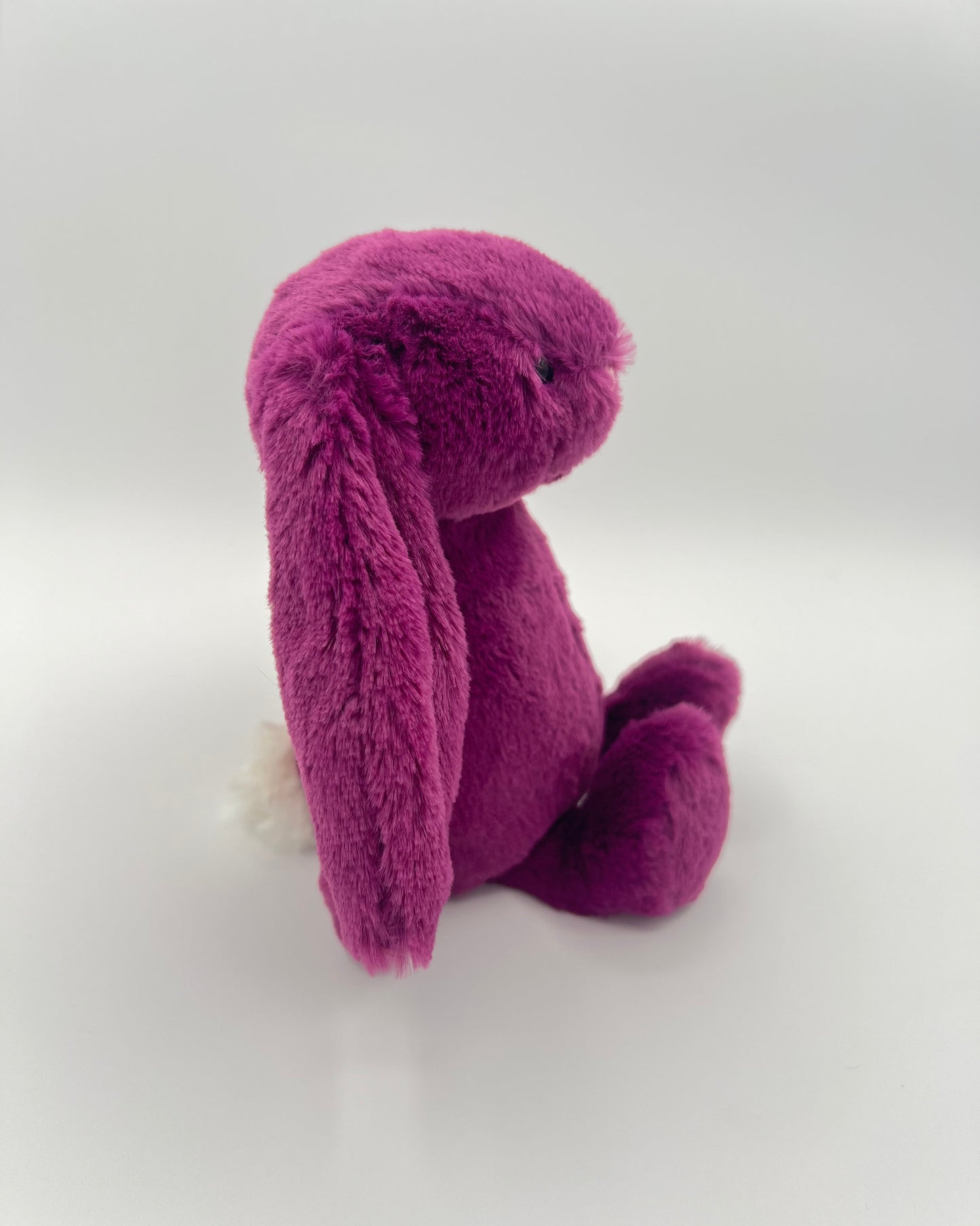 Bashful Allium Bunny