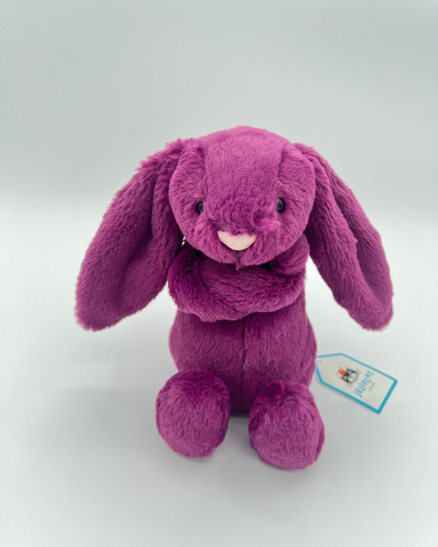 Bashful Allium Bunny