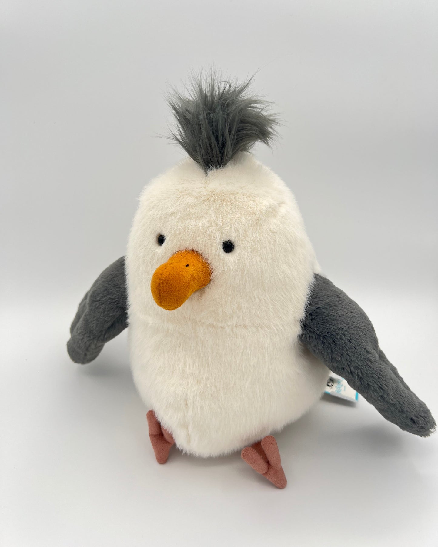 Chip Seagull