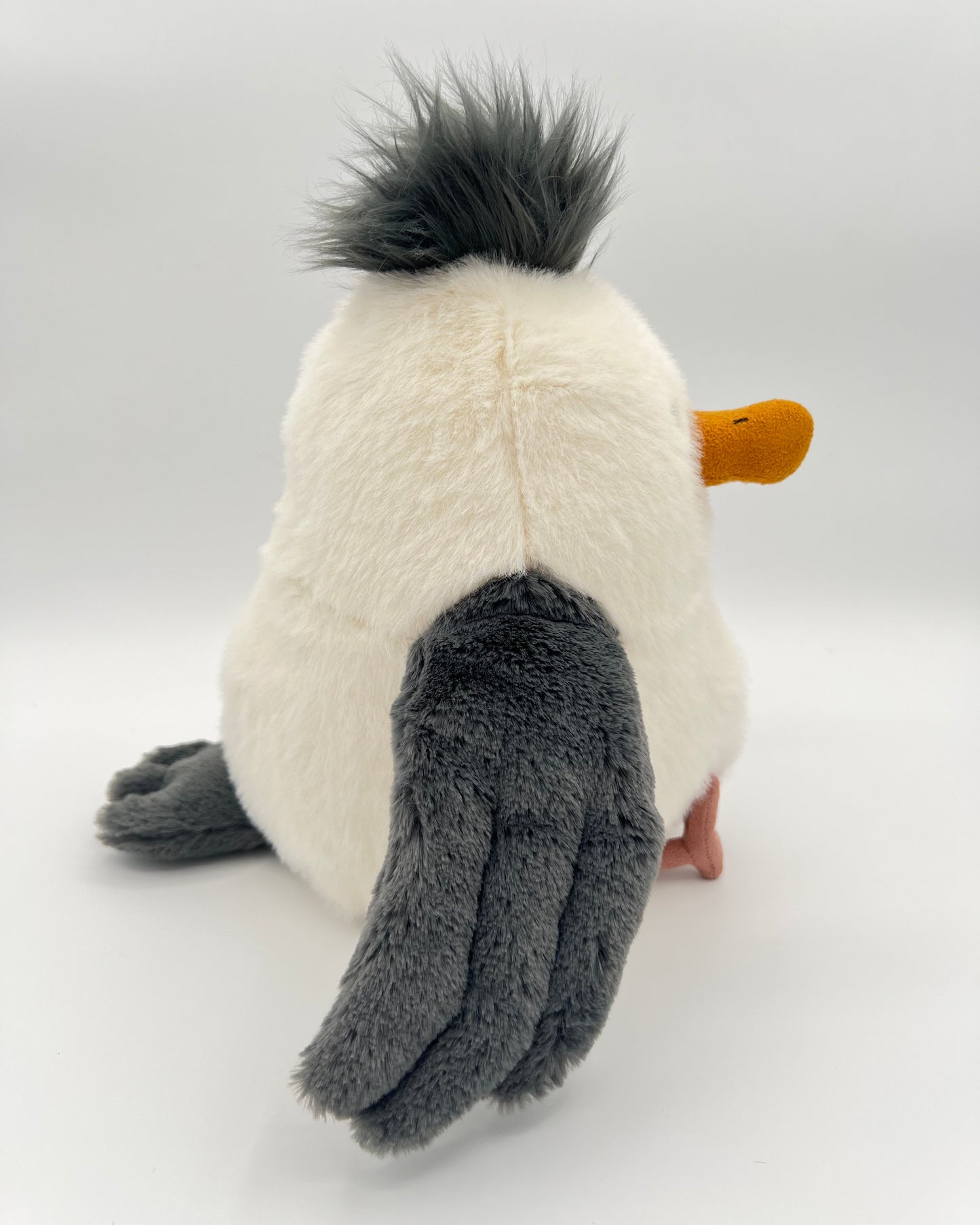 Chip Seagull