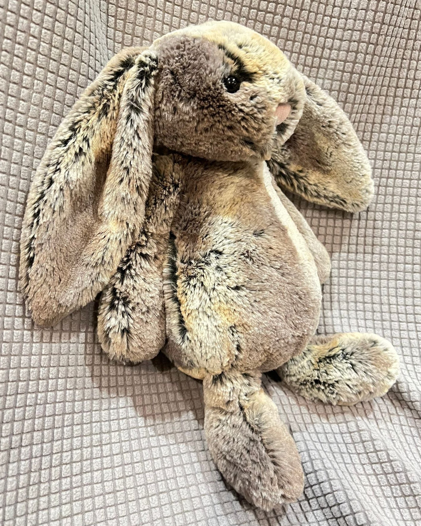 Bashful Woodland Bunny