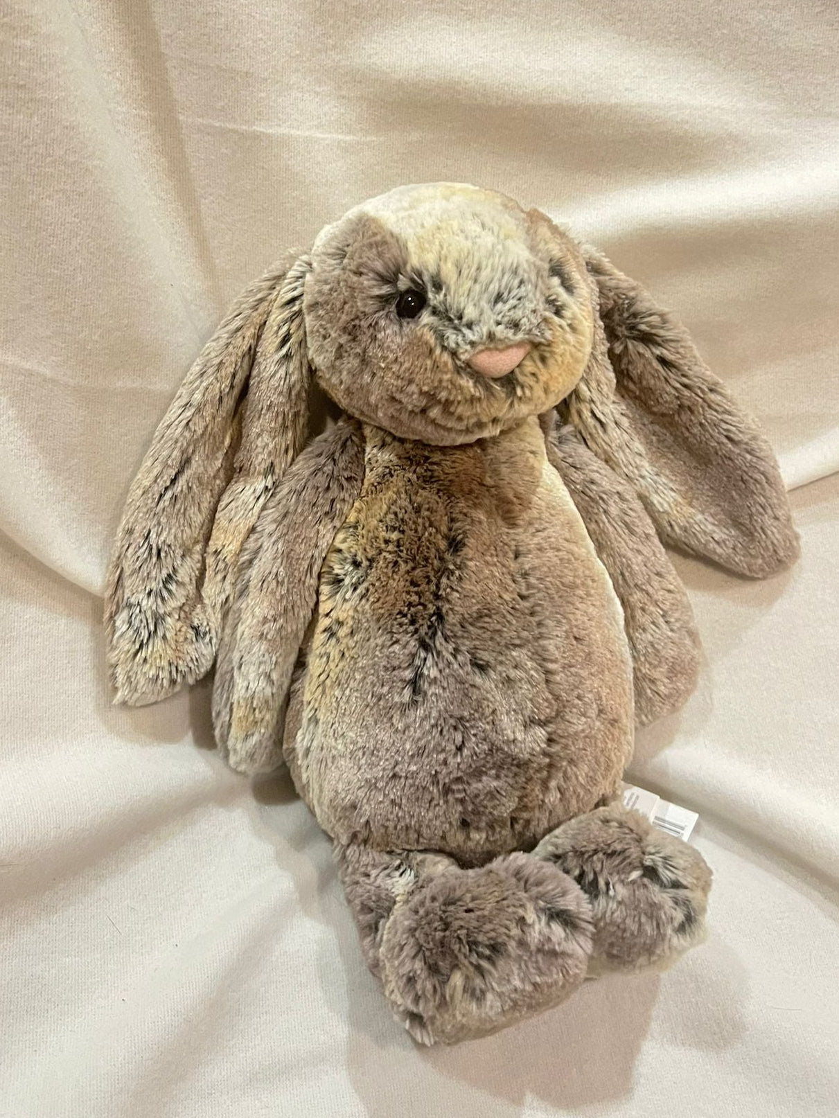 Bashful Woodland Bunny