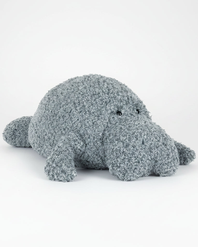 Maffles Manatee