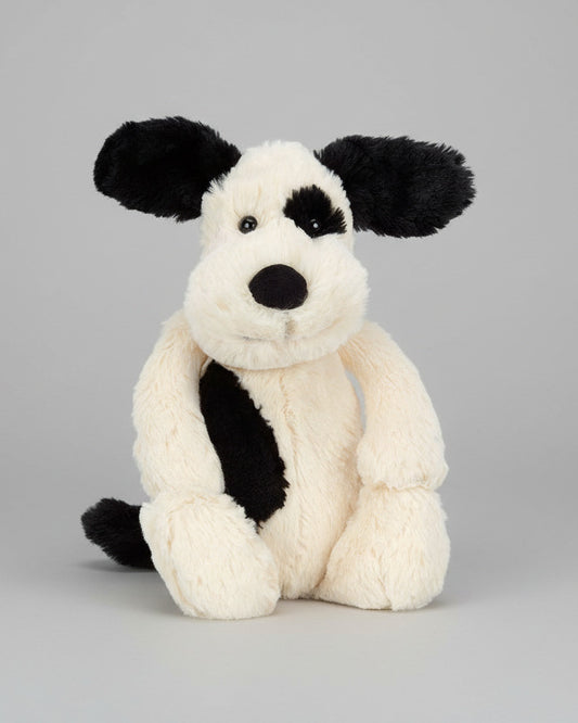 Bashful Black & Cream Puppy