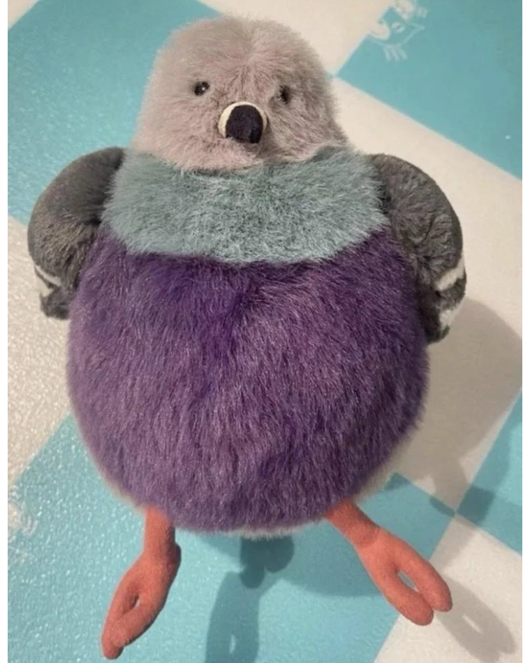 Leicester Pigeon